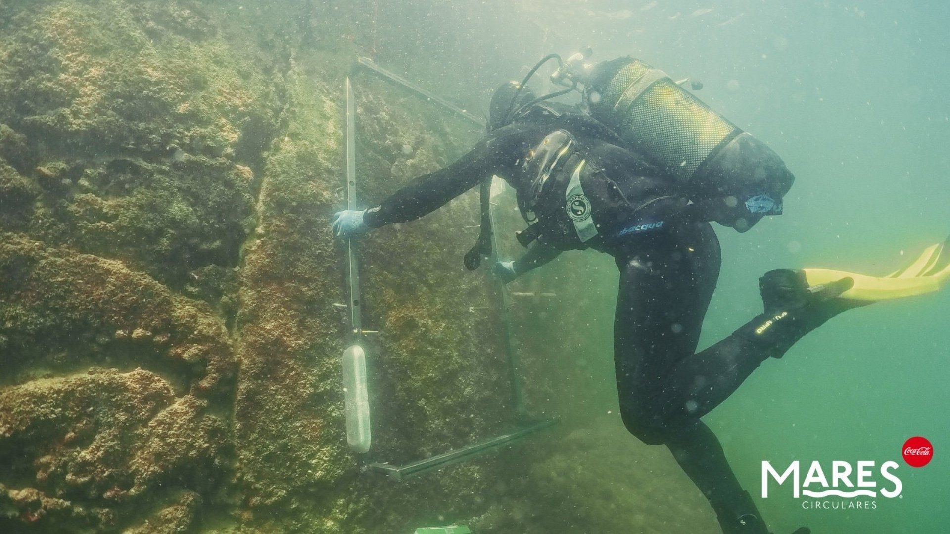 Coca-Cola e Ocean Ecostructures testam tecnologia biomimética em portos