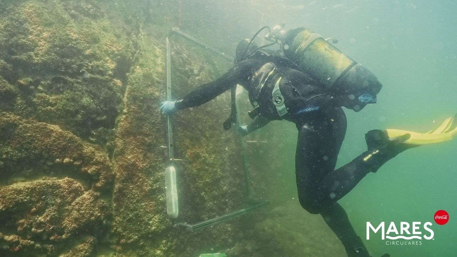 Coca-Cola e Ocean Ecostructures testam tecnologia biomimética em portos