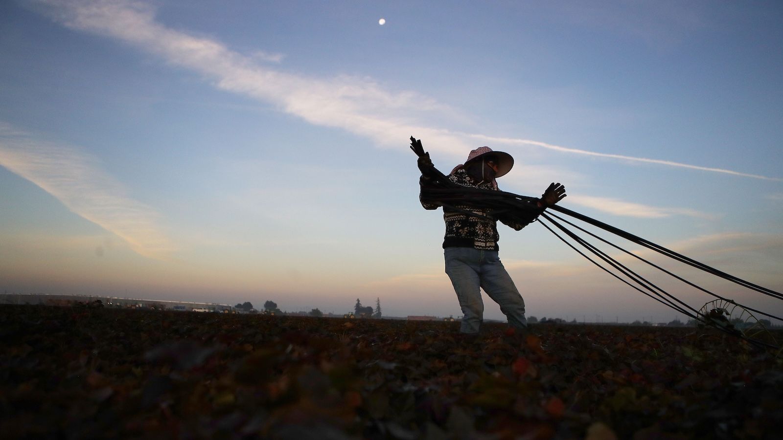 Sistema alimentar global explora 1,4 bilhão de trabalhadores e agrava crises