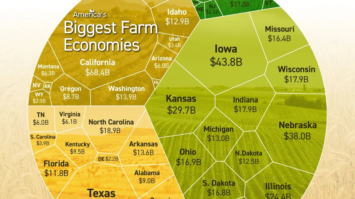 Califórnia lidera PIB agrícola dos EUA; Midwest domina produção regional