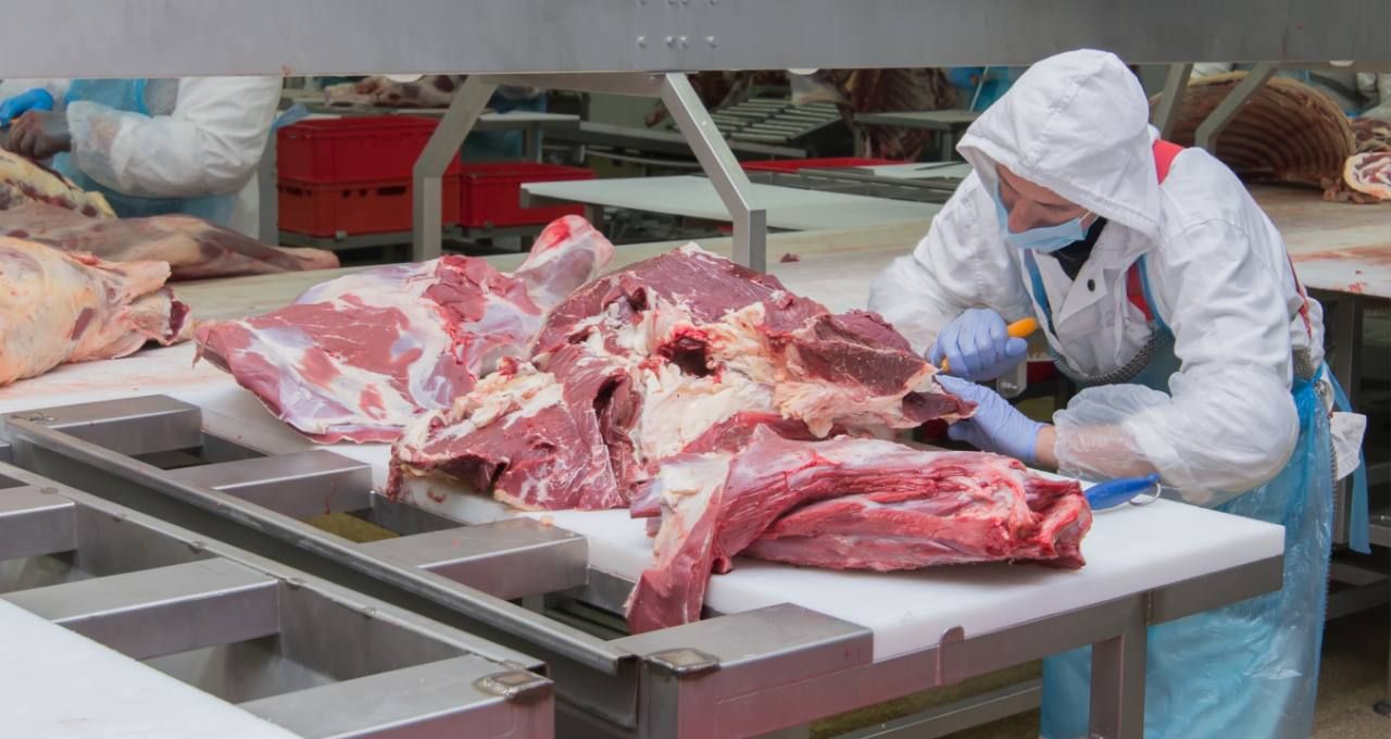 Mato Grosso: carne bovina fatura US$ 3,4 bi com exportação para 90 países