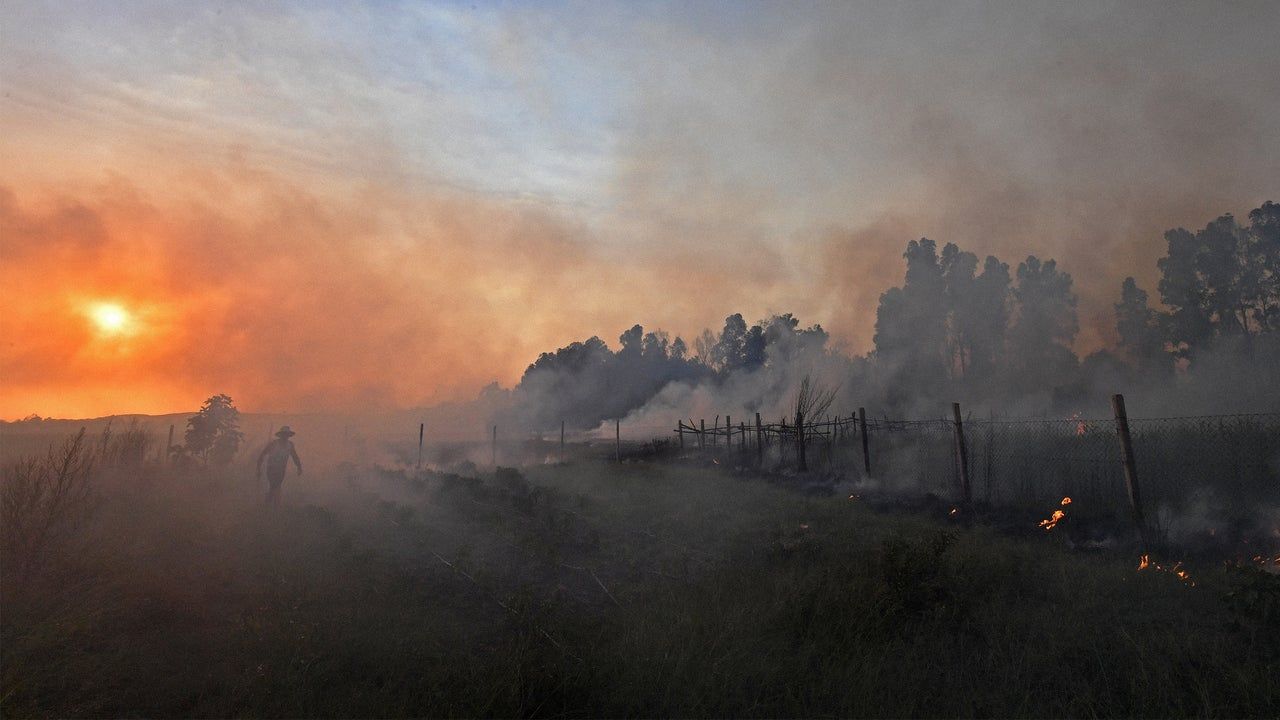 Ondas de calor e fumaça de incêndios atingem simultaneamente 55% da população mundial