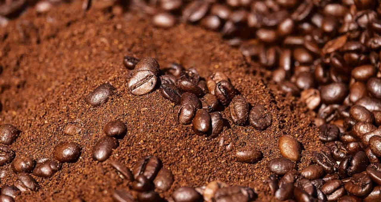 O recado do café: há grãos no mundo, mas não para entrega