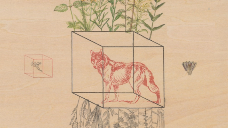 Poesia contemporânea explora novos formatos — da robótica à colagem visual