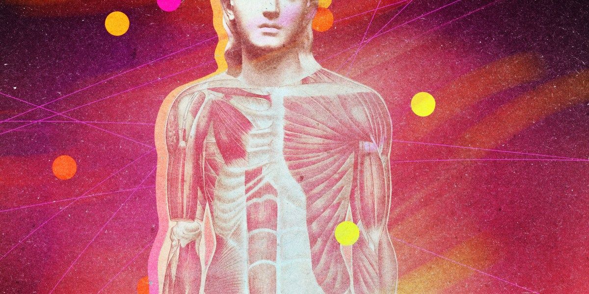 Interocepção — como o cérebro mapeia o corpo para tomar decisões