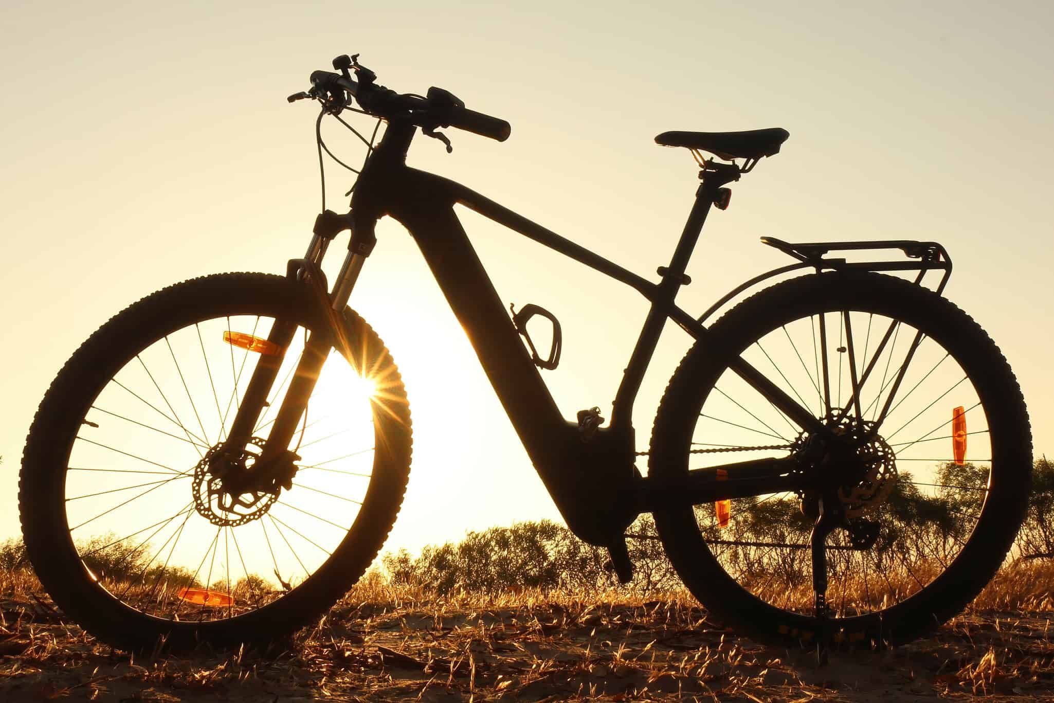 Avinox e Gobao integram motor e câmbio para simplificar e-bikes