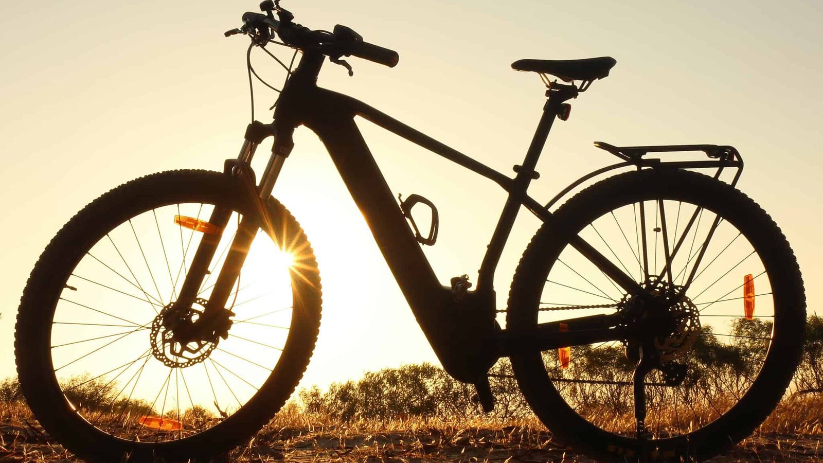 Avinox e Gobao integram motor e câmbio para simplificar e-bikes