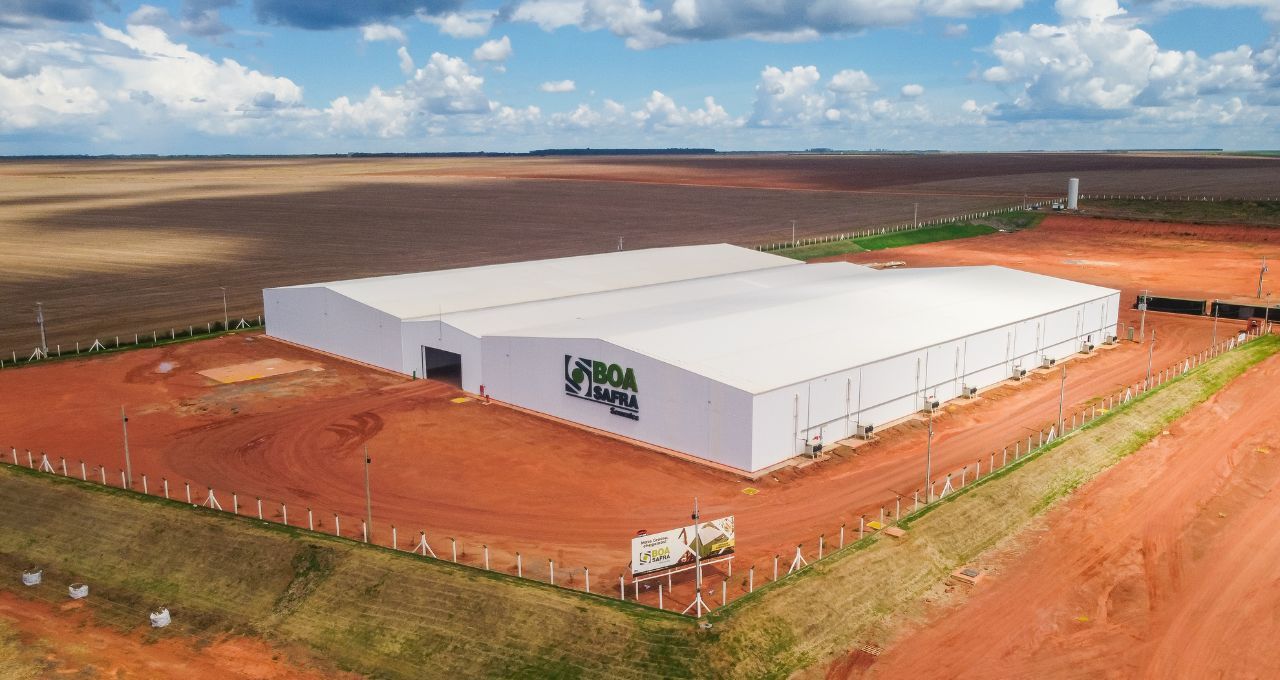 Boa Safra enfrenta pressão de dívida e incertezas climáticas — Citi corta preço-alvo