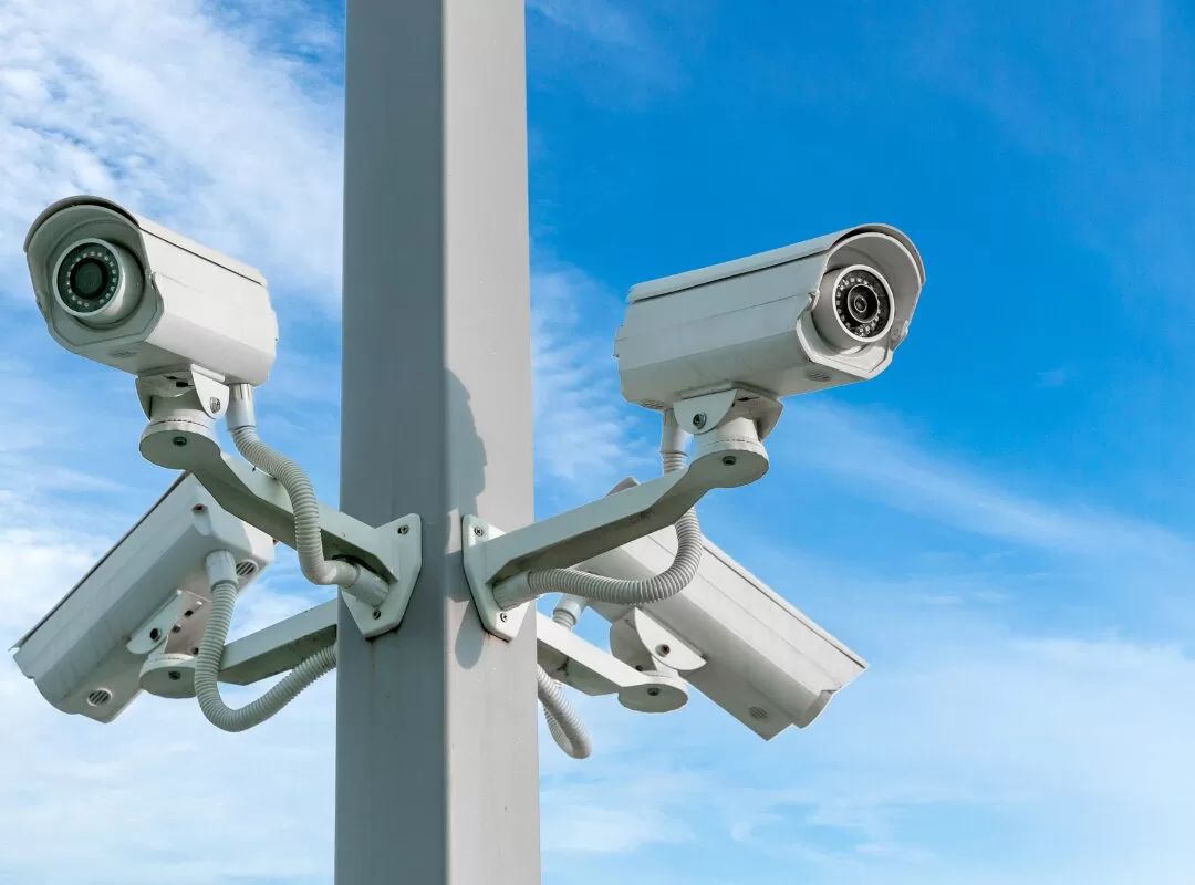 Pax recruta talentos globais para IA na segurança pública