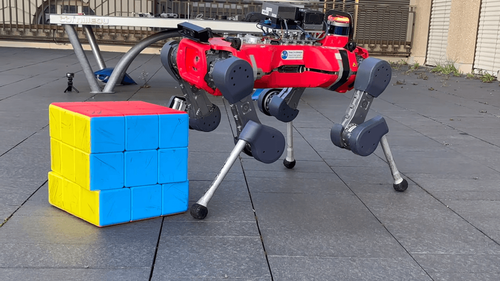 Robô quadrúpede resolve cubo mágico gigante com pés