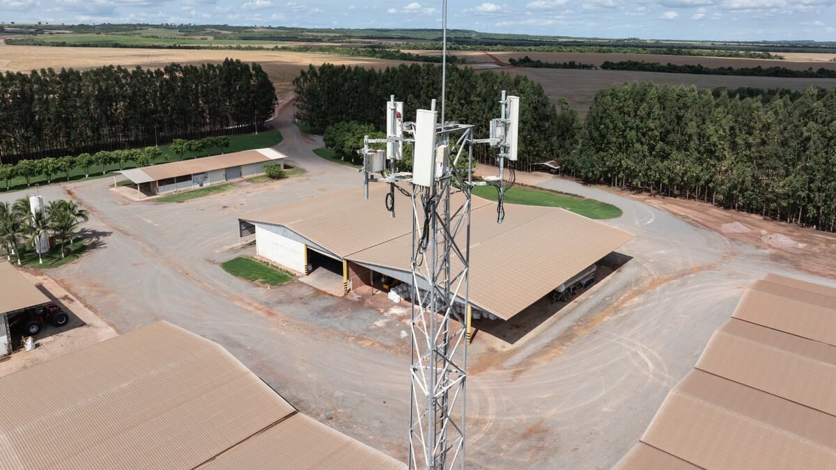TIM muda foco no agro — conectividade dá lugar à inteligência artificial