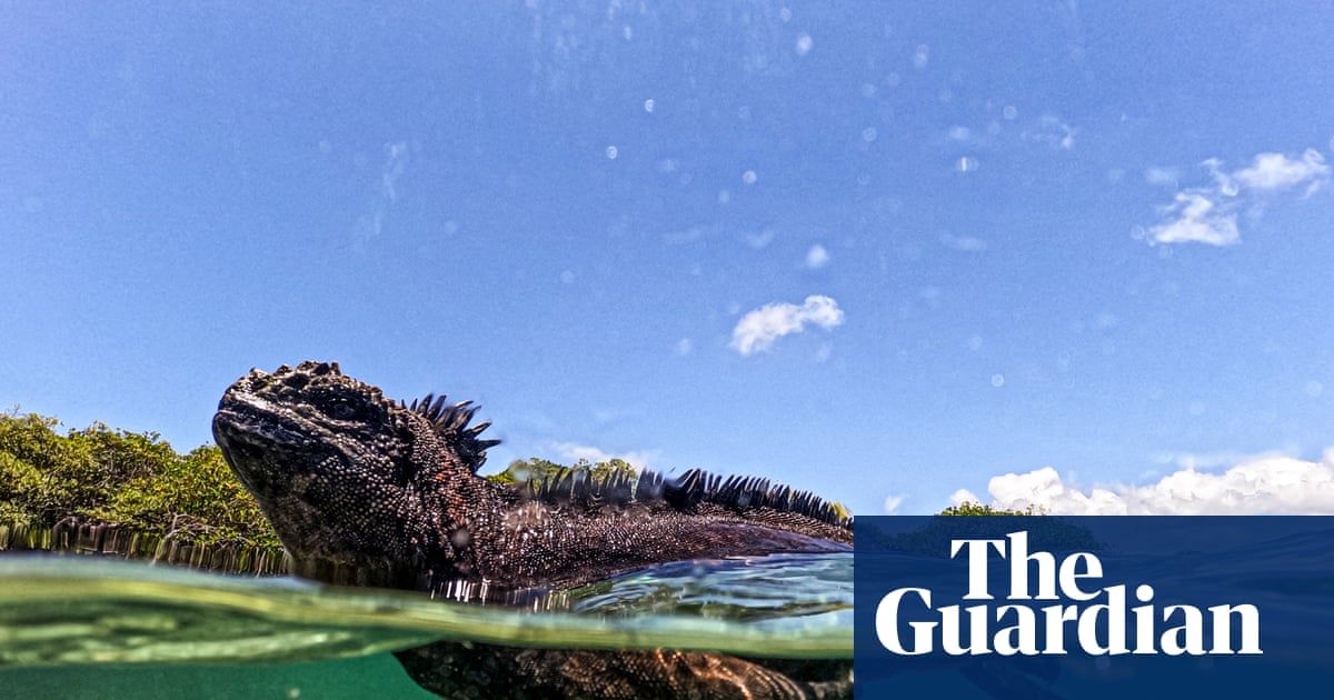 O laboratório de Darwin ferve: Galápagos como alerta climático global