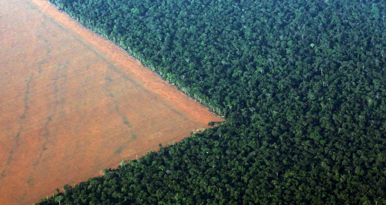 Desmatamento na Amazônia recua 61% em maio — governo vê sinal de eficácia