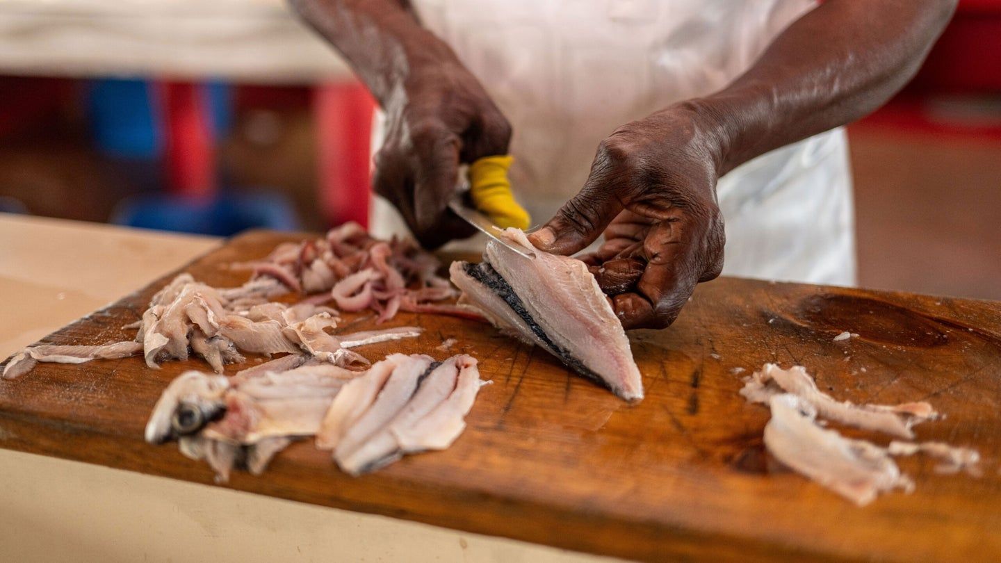 Peixe-voador define a identidade gastronômica de Barbados — e enfrenta risco ambiental