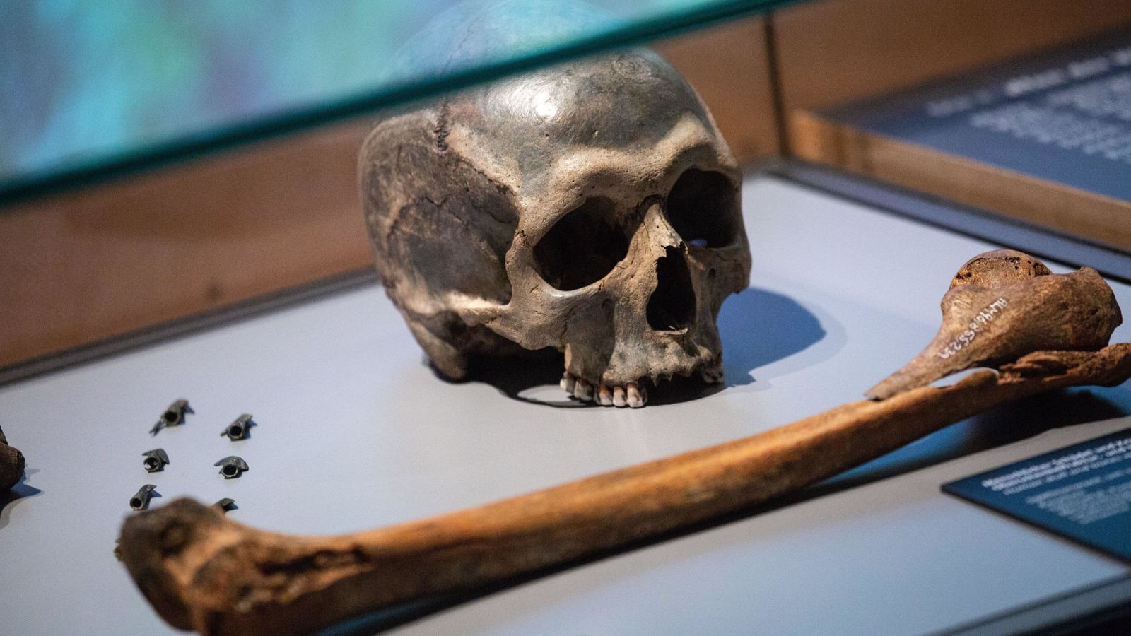 DNA de múmias chilenas de 500 anos confirma chegada da varíola com europeus