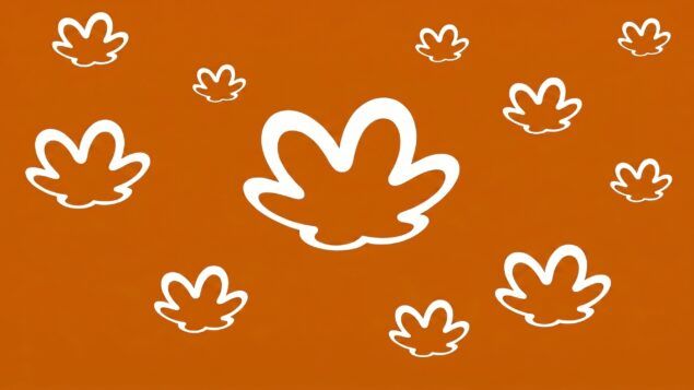 Natura, simplificada, aposta em um CEO do passado