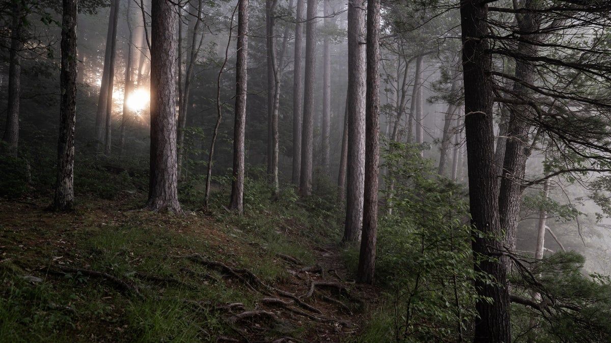 Trilha Fantasma: O apelo sombrio de cidades abandonadas na Pensilvânia