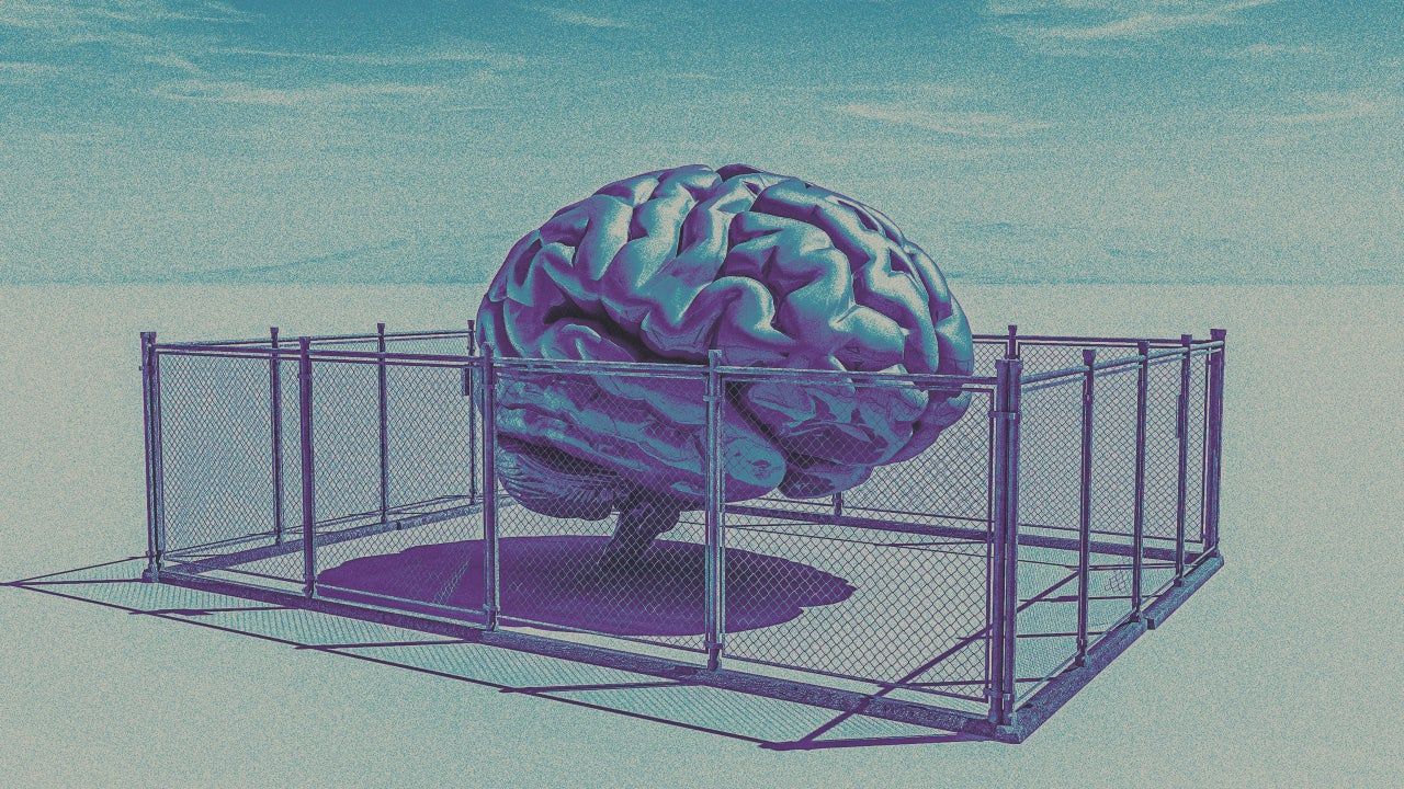 Inteligência elevada pode ser armadilha em decisões críticas