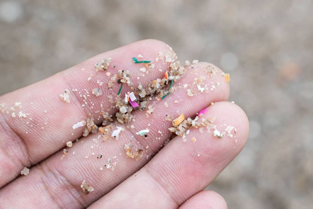 Microplásticos contaminam rações de pets — estudo aponta risco em 29 marcas comerciais