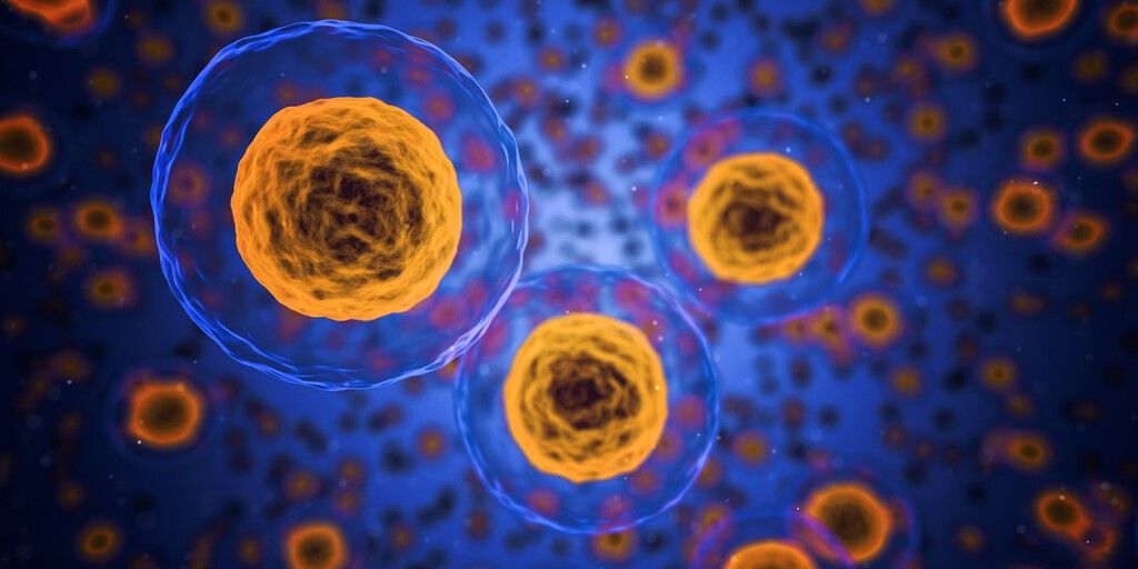 Células zumbis: a ciência busca a chave para reverter o envelhecimento