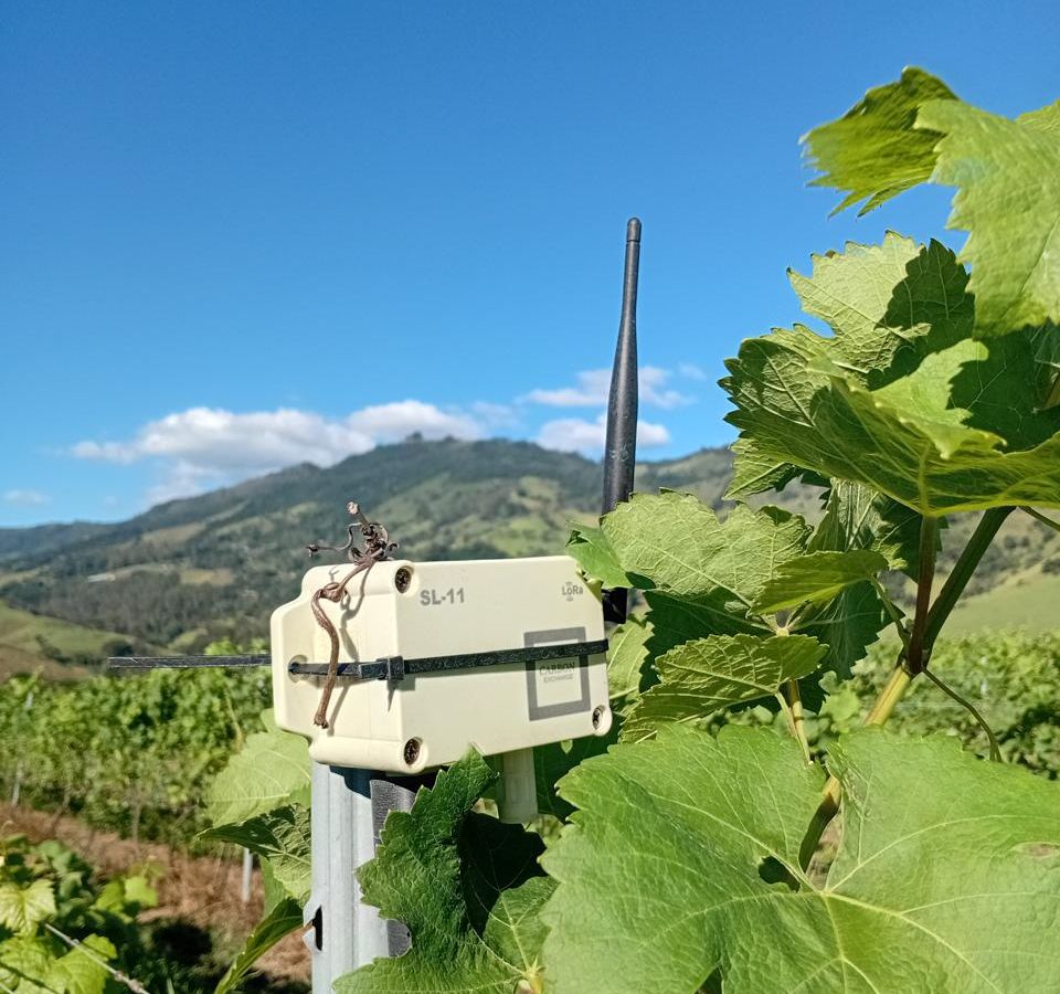 Carbon Exchange e GreenBug unem forças para detectar incêndios via som e sensores