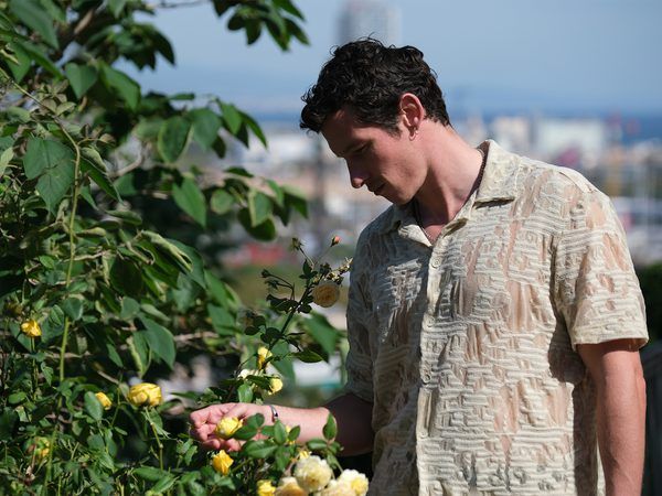 Rosebush Pruning expõe a decadência da elite em comédia ácida de Karim Aïnouz