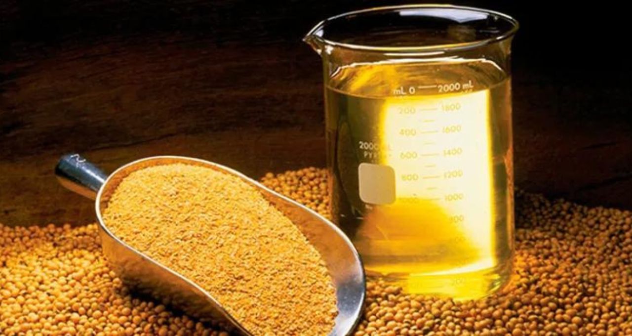 Lobby do biodiesel pressiona Lula por mistura de 17%