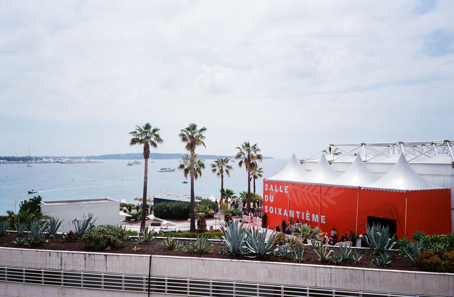 Além dos Leões: Os cinco eixos estratégicos de Cannes 2026