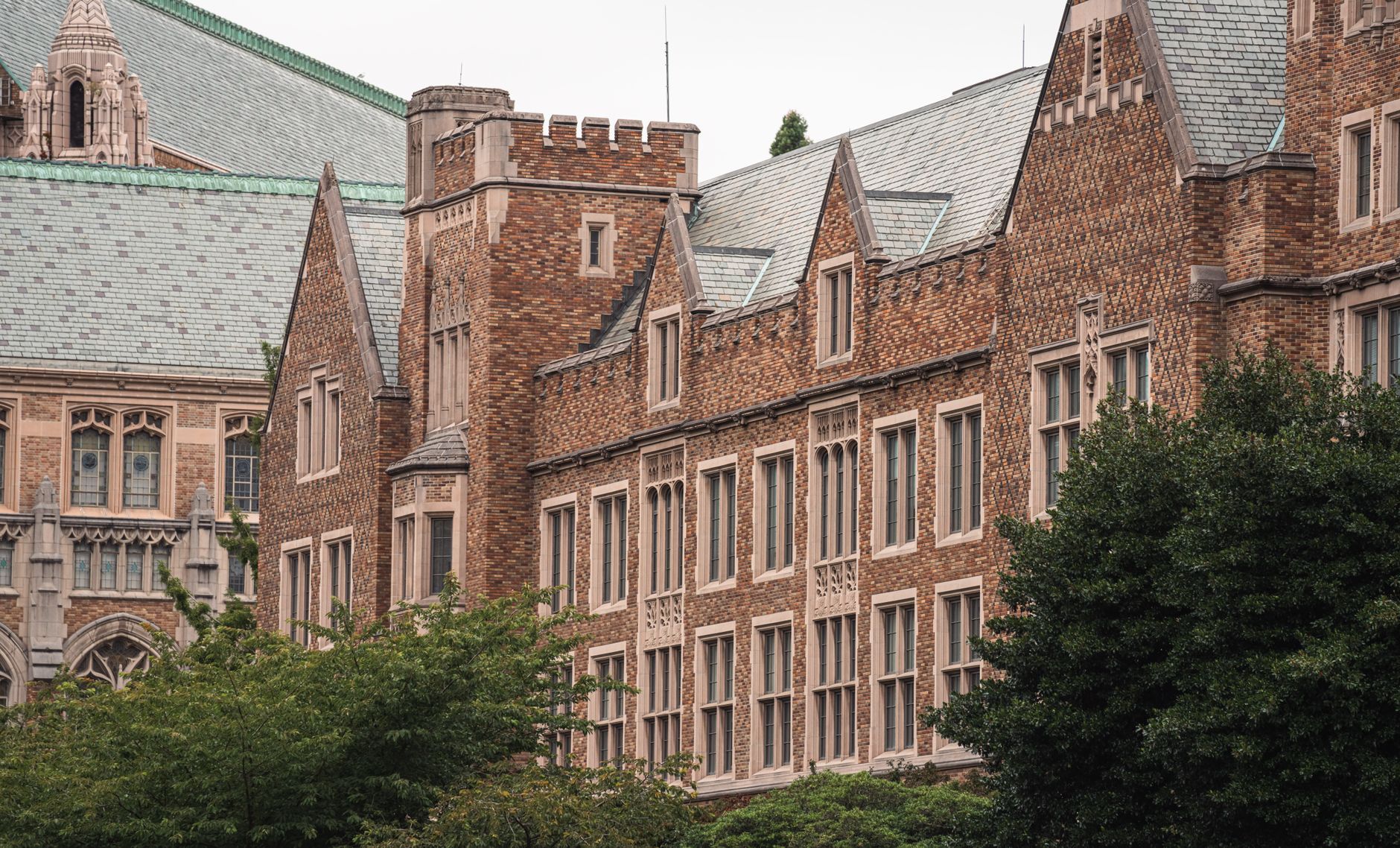 Harvard e o acesso global: O currículo aberto em IA e computação
