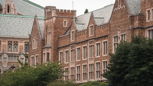 Harvard e o acesso global: O currículo aberto em IA e computação