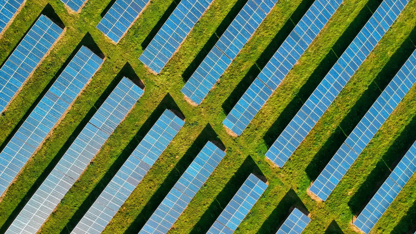 Empreendedores de Nairobi lideram transição para energia solar off-grid