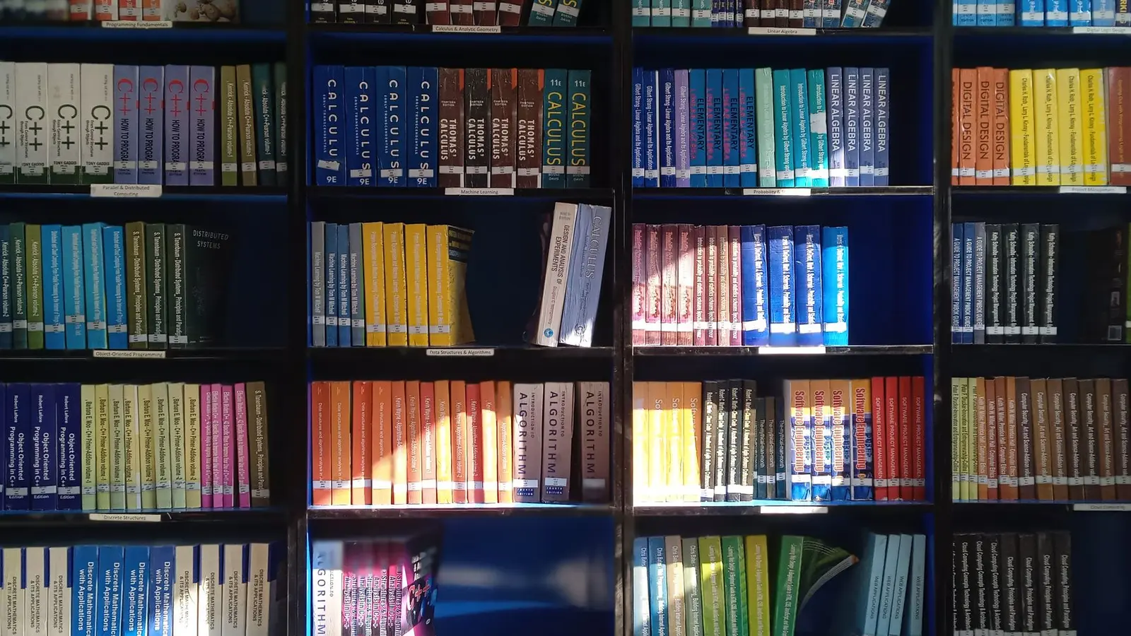 Crítica literária aponta os títulos que dominam as listas da semana